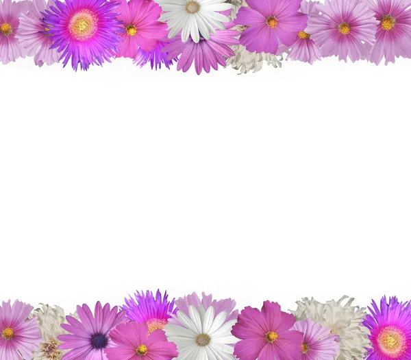 Hranice jarních a letních květin — Stock fotografie
