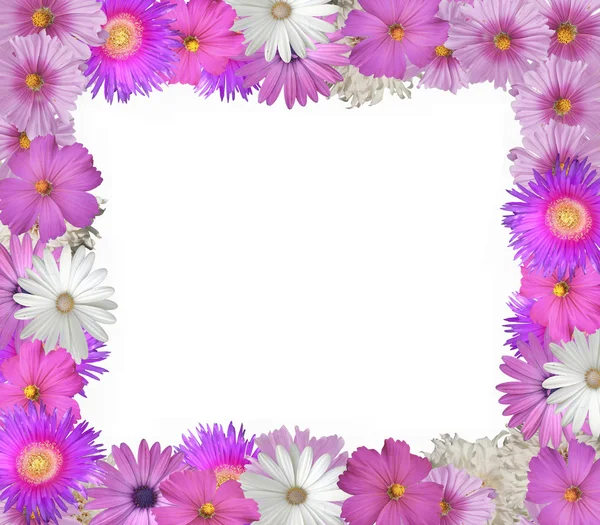 Moldura de flor — Fotografia de Stock