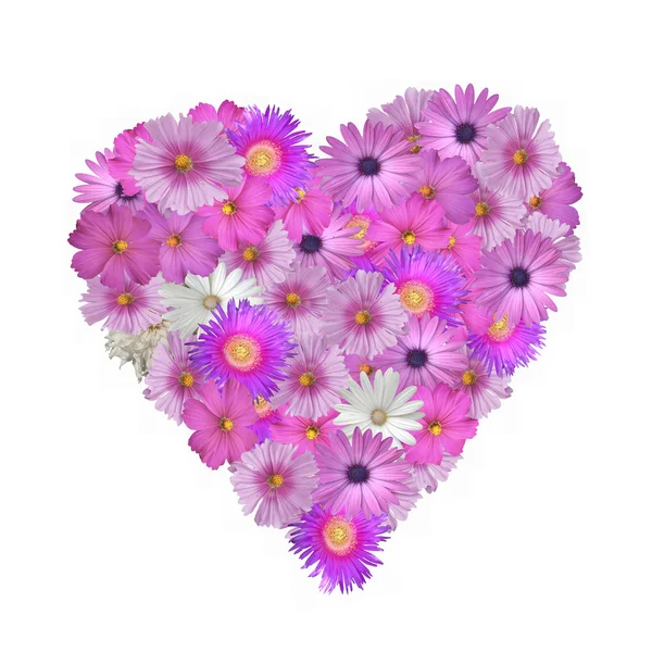 Blomma hjärta — Stockfoto