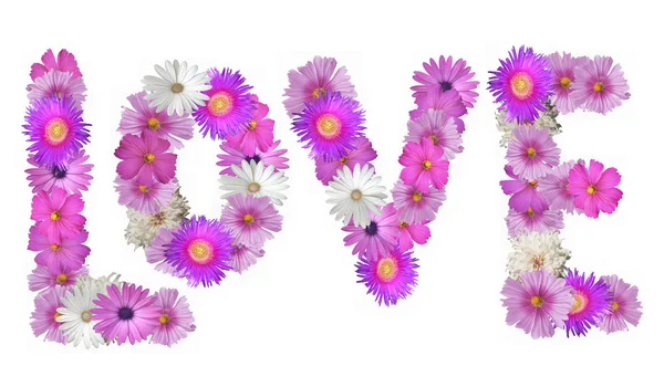 Kärlek stavas i blommor — Stockfoto