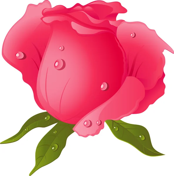 Рожеві троянди — стоковий вектор