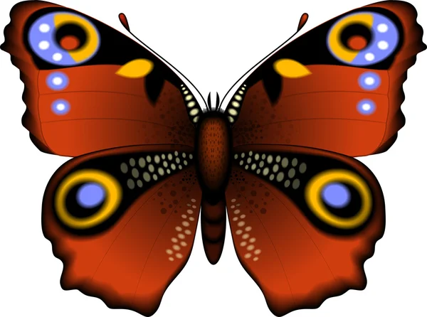 Prachtige vlinder — Stockvector