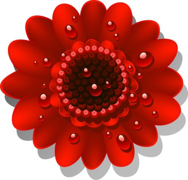 Beautiful red Gerber Daisy clipart