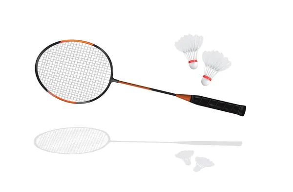 Detaljerad badmintonracket och badmintonbollen i vektorformat — Stock vektor