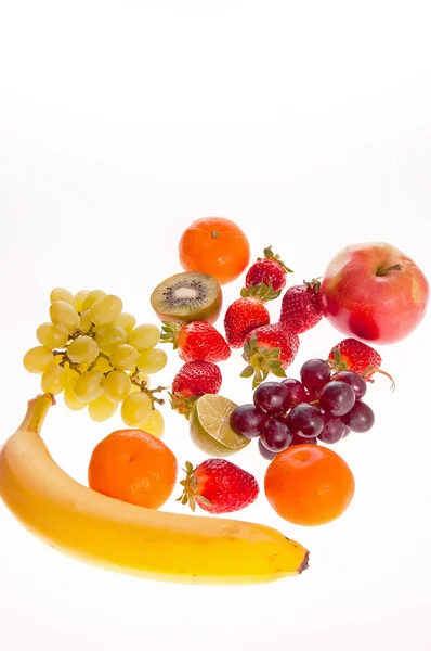 Recolha de frutos — Fotografia de Stock
