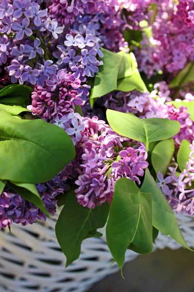 Beautiful lilac branches in a basket — Stock Photo, Image