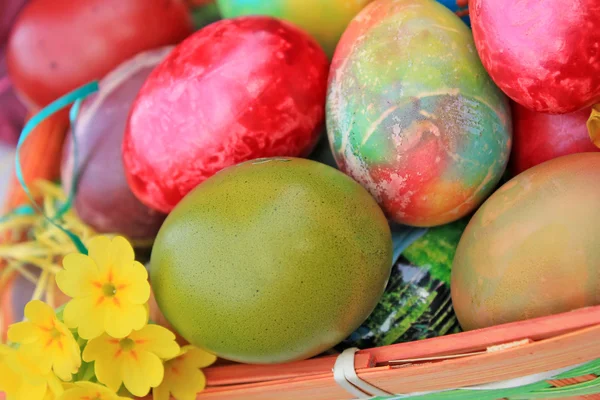 Close up of colorful painted easter eggs — Stock Photo, Image