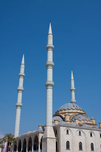 Mosquecs — стокове фото