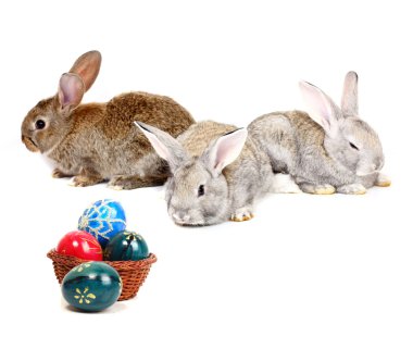 Easter rabbits clipart