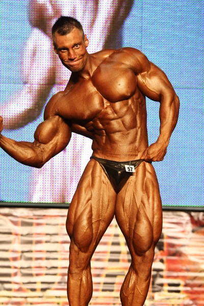 Bodybuilder — Photo