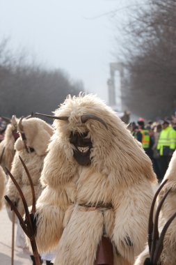 mohacsi busojaras karnavalı