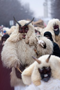 mohacsi busojaras karnavalı