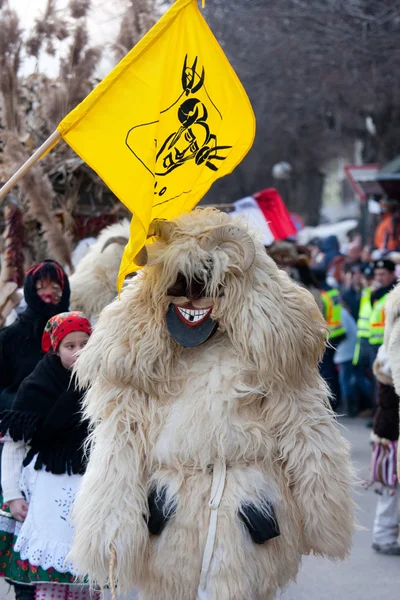 Mohacsi busojaras Karneval — Stockfoto