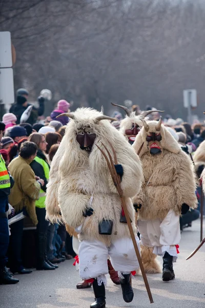 莫哈西布索加拉斯狂欢节 — 图库照片