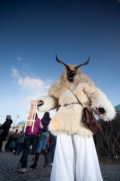 stock image Mohacsi Busojaras carnival