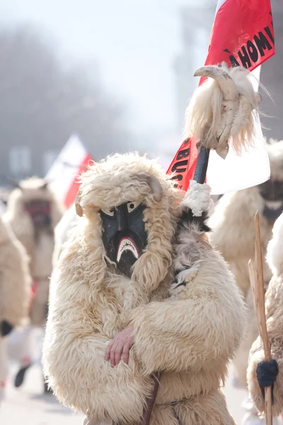 Mohacsi Busojaras carnival — Stock Photo, Image