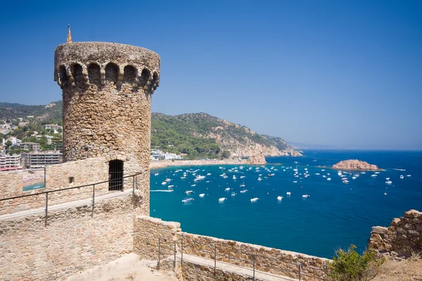 堡垒塔在海岸 de mar — 图库照片