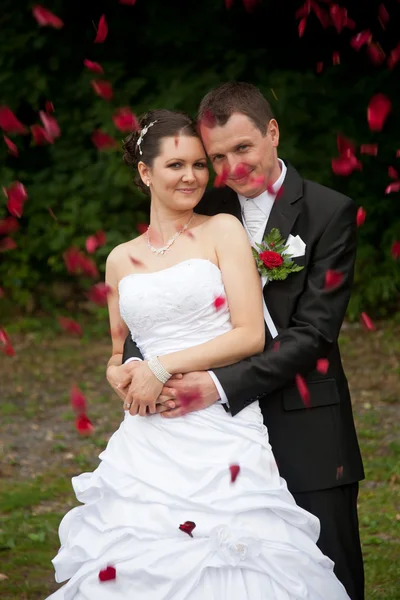 Young wedding couple — Stock Photo, Image