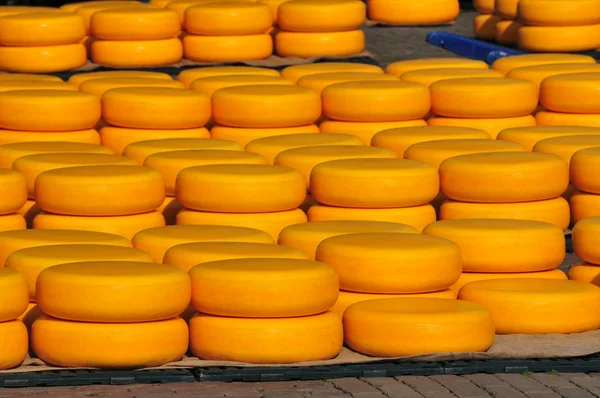 Sýr na trhu — Stock fotografie