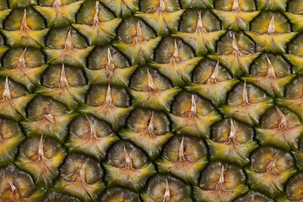 Abacaxi — Fotografia de Stock