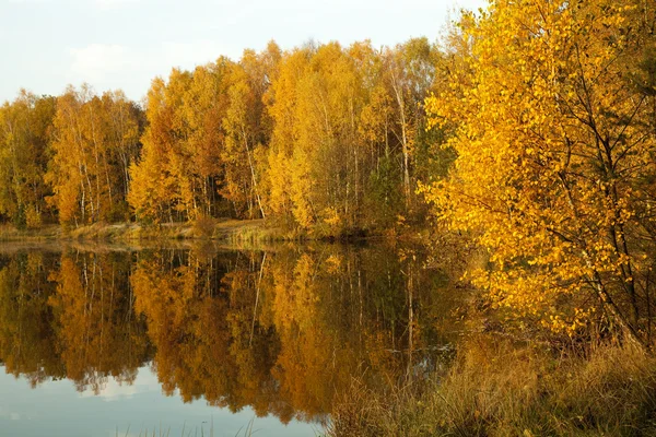 Stock image Autumn scenery