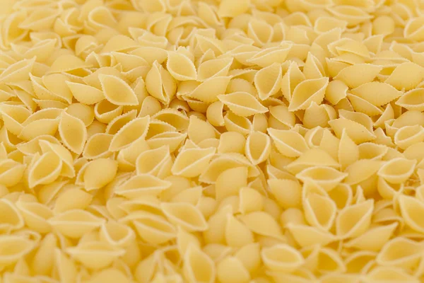 Pasta - conchiglioni — Stock Photo, Image