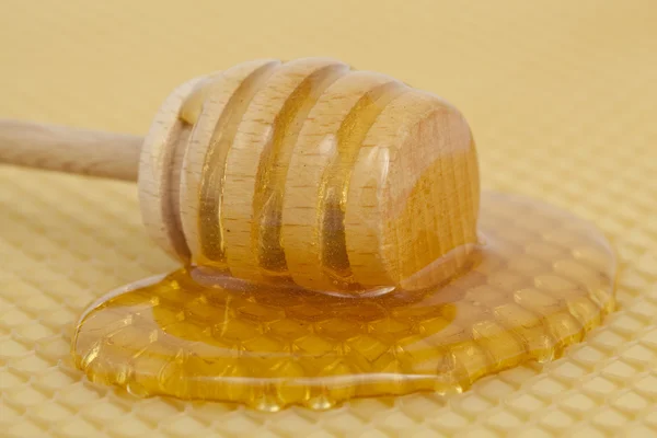 Miel sur cuillère en bois — Photo