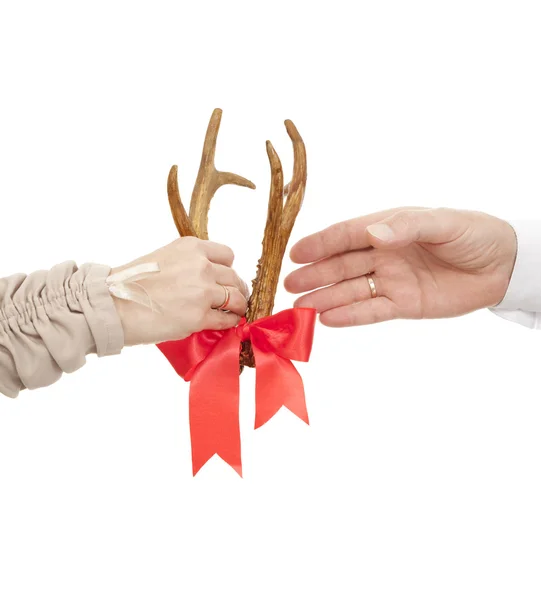 Antlers in gift — Stock Photo, Image