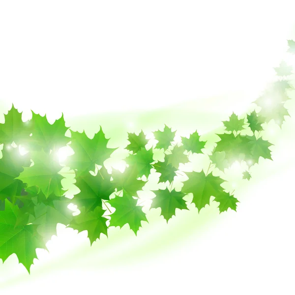 Abstract light green background with flying maple leaves — Stock Vector