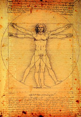 Vitruvian Man clipart