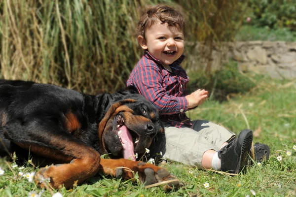 Rottweiler ja lapsi — kuvapankkivalokuva