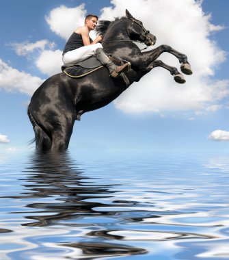 Rearing horse in the water clipart