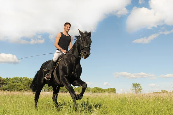Молодой человек и лошадь — стоковое фото