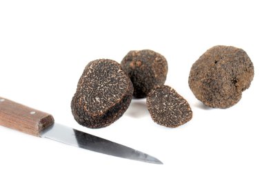 Truffles clipart