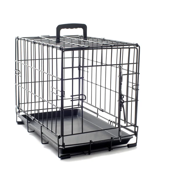 stock image Pet carrier