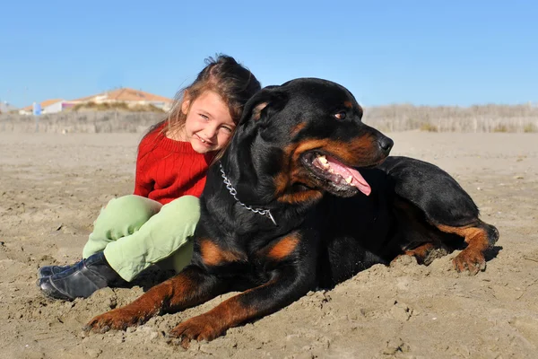 Rottweiler ja lapsi rannalla — kuvapankkivalokuva