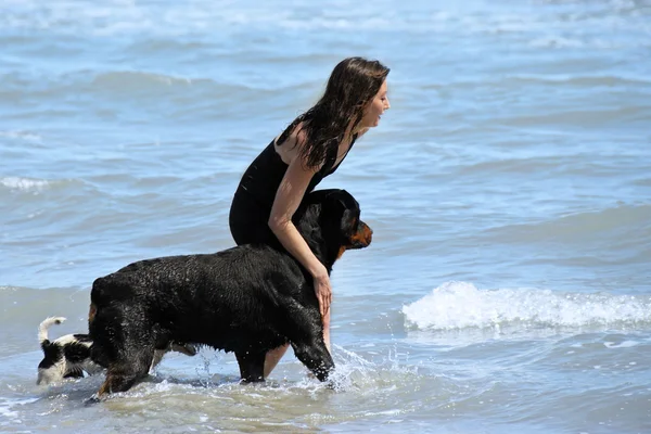 Rottweiler e menina no mar — Fotografia de Stock