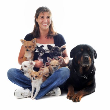 Woman and her dogs clipart