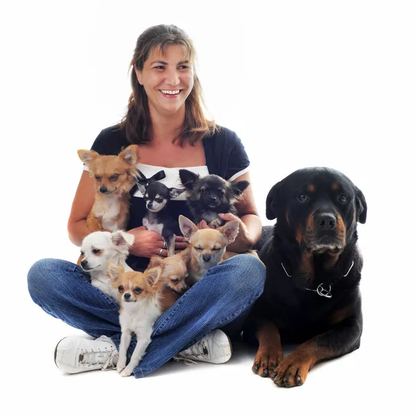 Kadın ve onun köpekleri — Stok fotoğraf