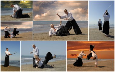 Aikido clipart