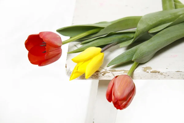 Tulipes sur un vieux tabouret — Photo