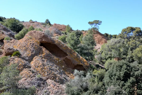 Resif dere — Stok fotoğraf