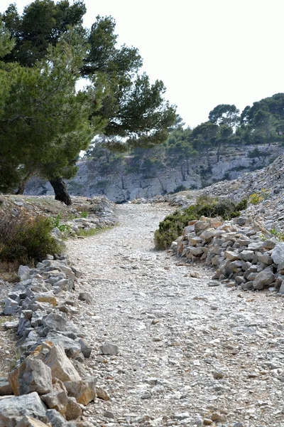 Path in the provence — Stock Photo, Image