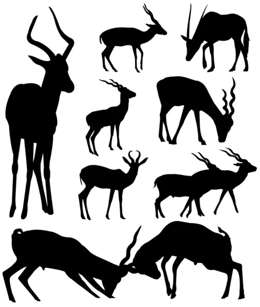 Vector antelopes silhouettes — Stock Vector