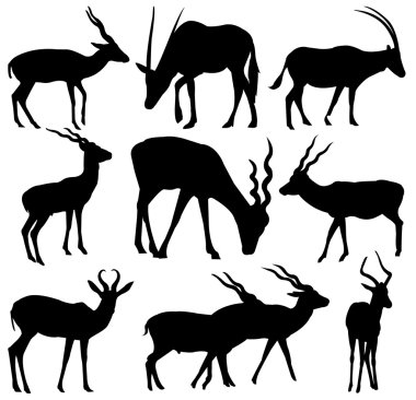 Vector antelopes silhouettes clipart