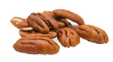 Carya pecan clipart