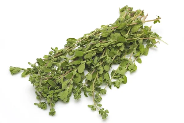 Bunch oh thyme — Stock Photo, Image