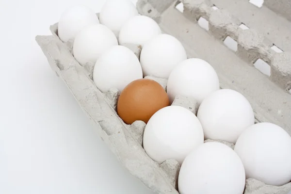 Een karton van eieren. — Stockfoto
