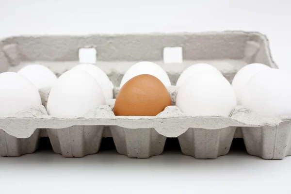 stock image A carton of eggs.