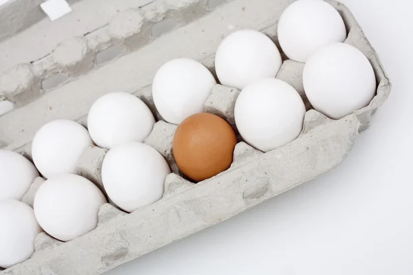 stock image A carton of eggs.